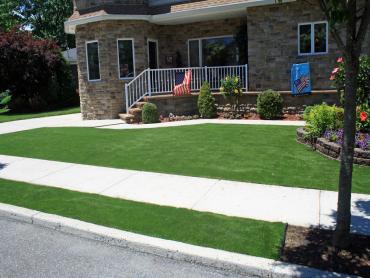 Artificial Grass Photos: Artificial Pet Grass Paramount California Lawns